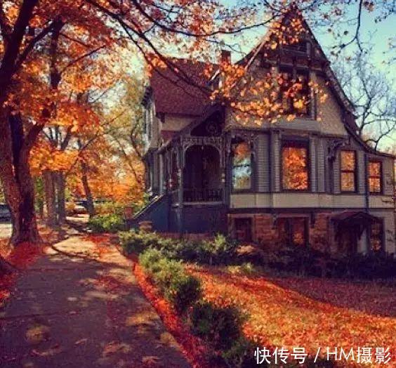 俄罗斯最美的秋天，如同一幅精美的画卷