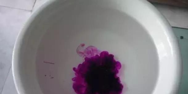  「花草」养花草、玩扦插,用点这“粉”,比多菌灵有效!烂根黑腐全没有!