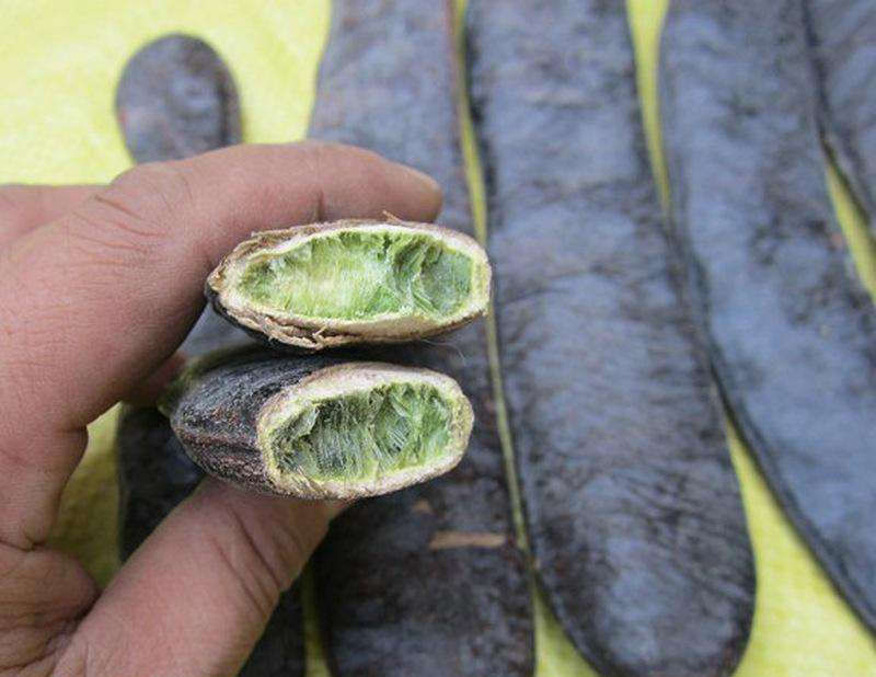  「洗衣服」农民们经常洗衣服，种子的价值很宝贵，现在农村都被