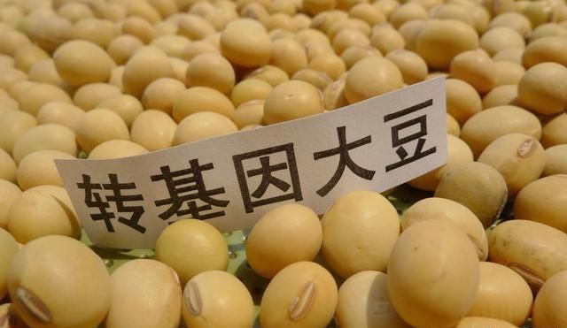 农民却让地荒着？大量粮食靠进口！袁隆平都看不下去了