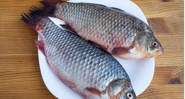  鲫壳|农村老俗“买肉不买糟头肉，买鱼不买鲫壳鱼”啥意思？有道理吗？
