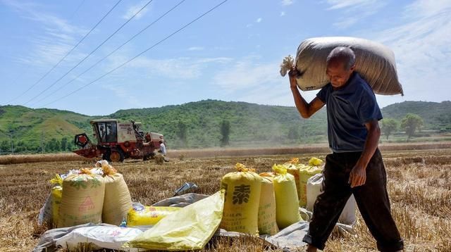  途径■返乡农民工，在农村有什么途径可以快速致富？看看这几条