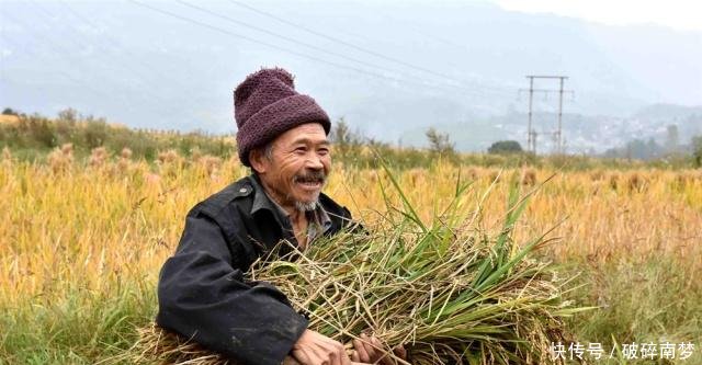 农村将取消“村长”空降“新领导”治理农村，农民有盼头了