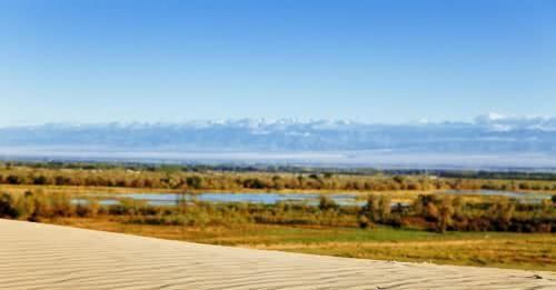 沙漠要变绿洲？中国西部最近降雨频繁，但专家却说不是好事？
