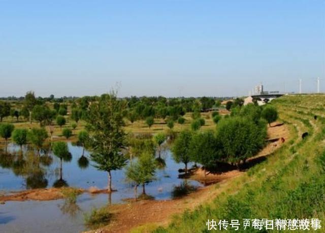 我国治沙又有新突破，这个沙漠即将“消失”，深受联合国的赞叹