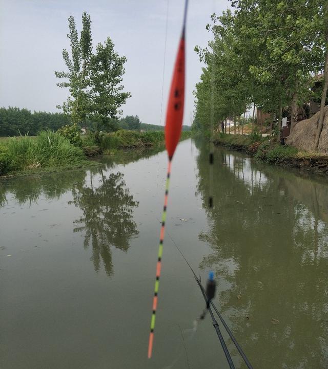 稀巧:正午口稀巧换点,又遇电网肆虐抢鱼忙