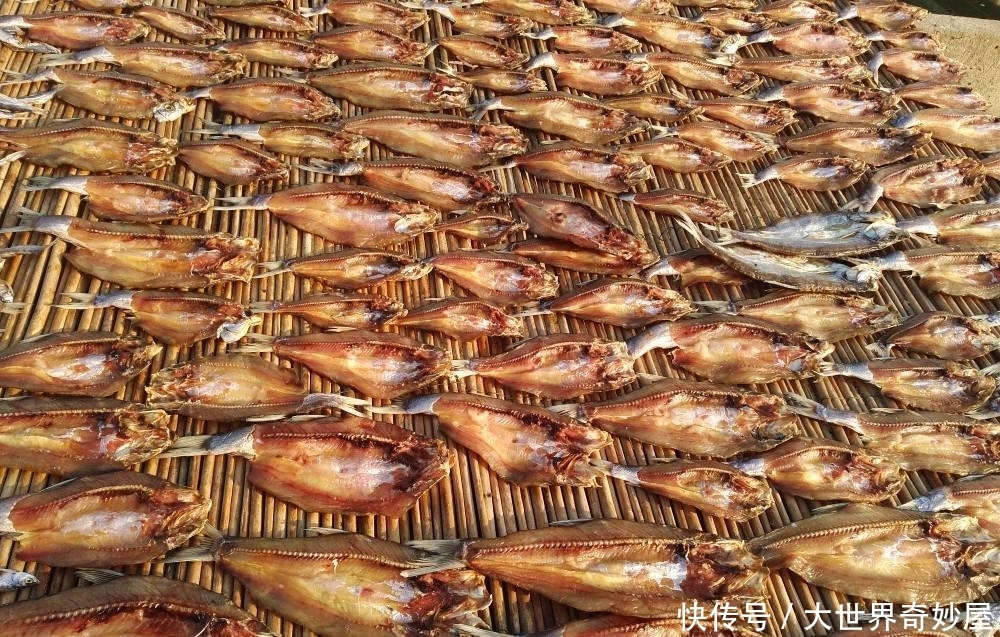  「一大」它曾是河里一大祸害，脾气暴躁出水就死，如今成珍贵品