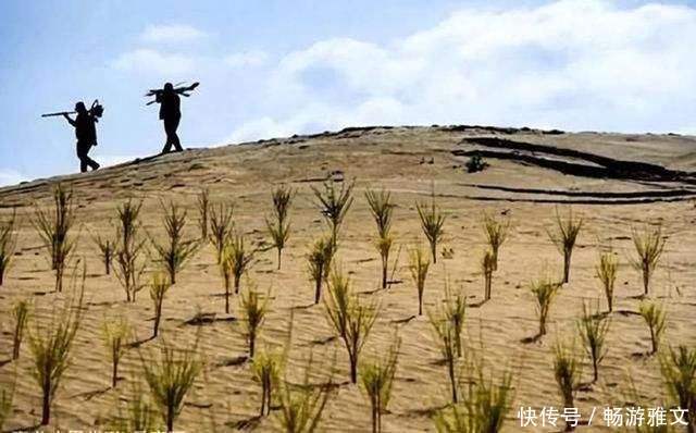 你在蚂蚁森林种的树现在怎么样了 这种结果连投资者马云也料不到