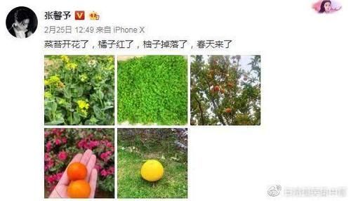 「何捷」张馨予嫁进何家，比何捷还受宠，看她的幸福生活，让很多人羡慕