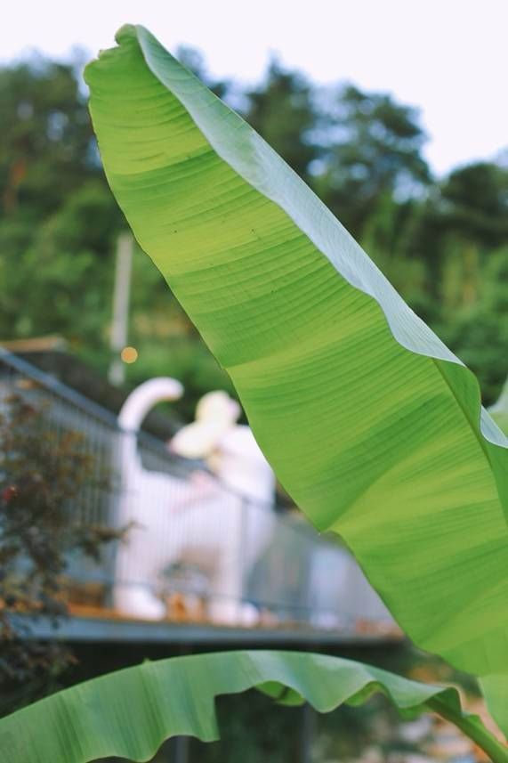 初秋出游，携爱车卡罗拉深山里感受四季