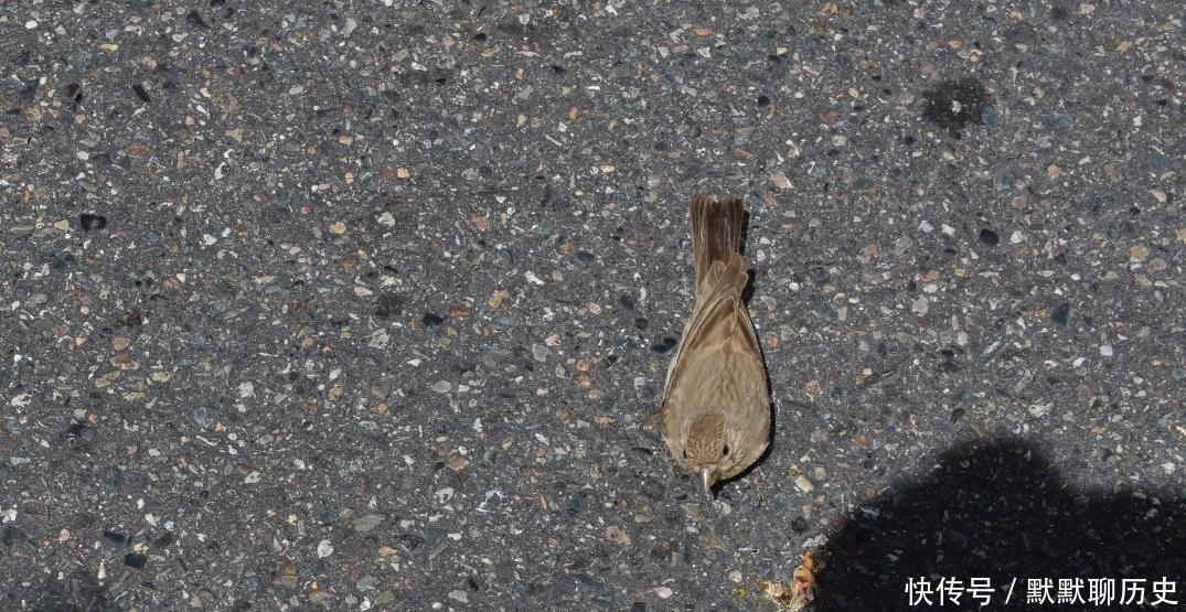 天路零公里出发,一小时海拔升高3000米,昆仑山脸色好严肃