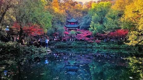 如果一生只去一次湖南,那走这条路线就够了,霸占湖南大半的美