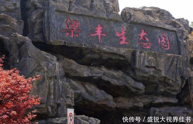  [一条]中国高铁：江苏即将开通一条高铁，通往“魔都”，经过你