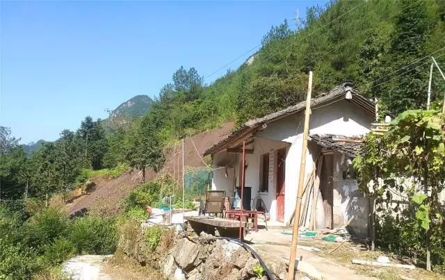  「大若岩镇」温州芙蓉岭古道，浙江省十大人文古道之一