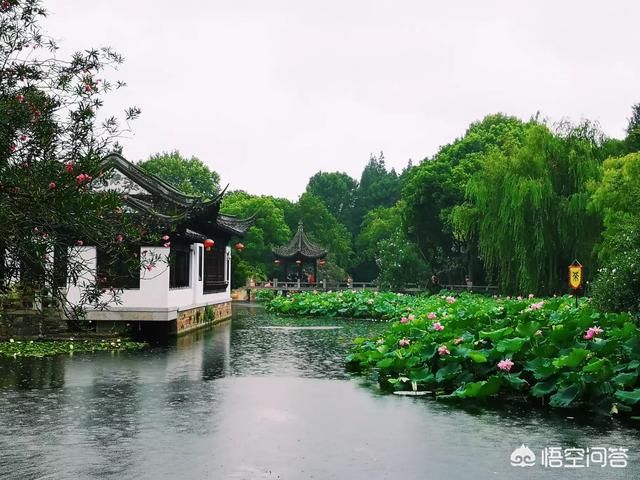 出门旅游拍照用手机还是相机？为什么？