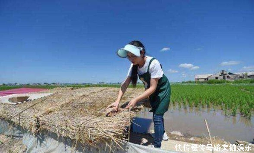  「美差」农村这4项“美差”别错过，不用背井离乡，自己当老板年