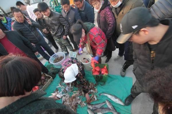 青岛渔民一天捞80斤海鲜 上岸5分钟就被抢光