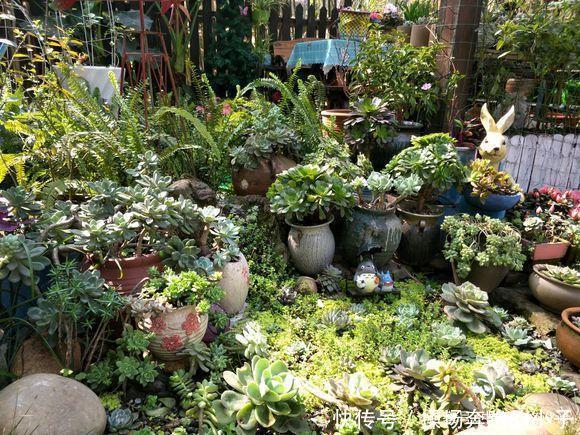 「李小姐还」她将荒芜的后院，改造成最美花园，完工一年后，让人惊艳
