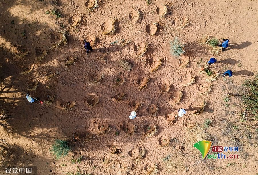 甘肃武威：当代愚公将沙漠变绿洲 六老汉三代治沙人共奋斗
