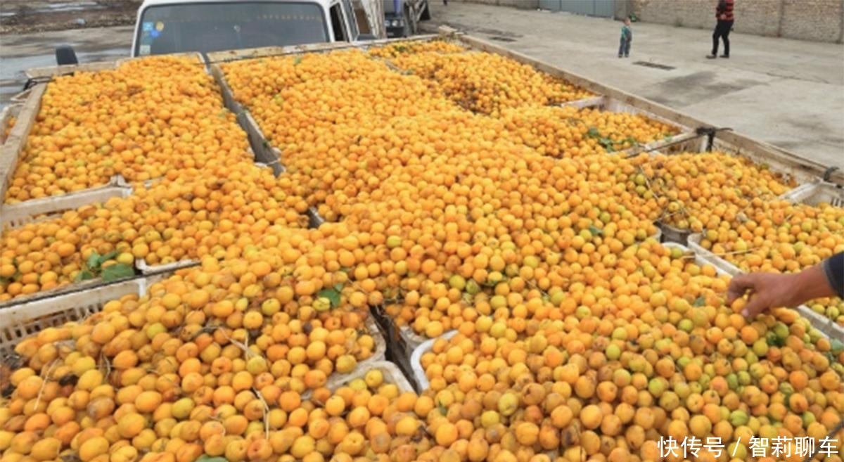 新疆发现大量“宝藏”，多国专家跑来探查，美国称：应该共享资源