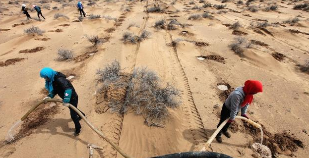若不是你亲眼所见，不敢相信在这样的沙漠腹地竟还有般人家和南瓜