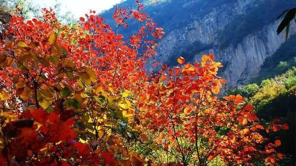 秋日里，山西20处绝美赏秋胜地美的像仙境