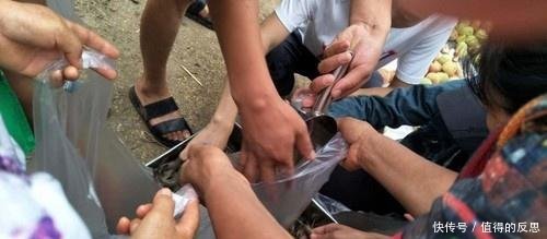  [明虾]农村集市上的稀罕物25块钱一斤 刚出摊就卖了100多斤！