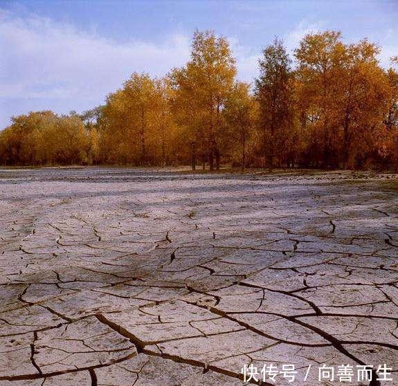 ＂一片荒漠依靠“输液”变成了湖泊，中国又创造了奇迹！＂