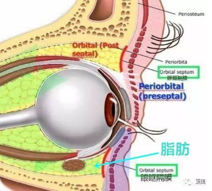 90后的郑爽关晓彤眼袋都要掉地上了，快来个医生救救她们吧!