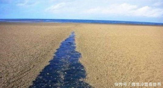深海中发现怪异沙滩,船靠近看清后,水手疯狂逃离!