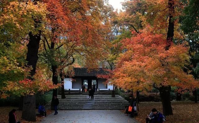 别老想着去日本拍红叶，中国这些地方的红叶也很好看