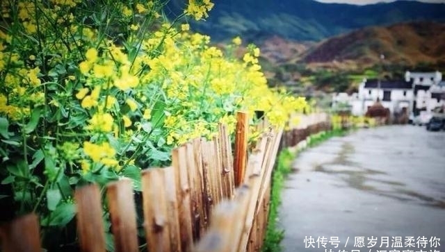 趁着油菜花开得灿烂，趁着婺源美景正当时，赶紧出发吧！