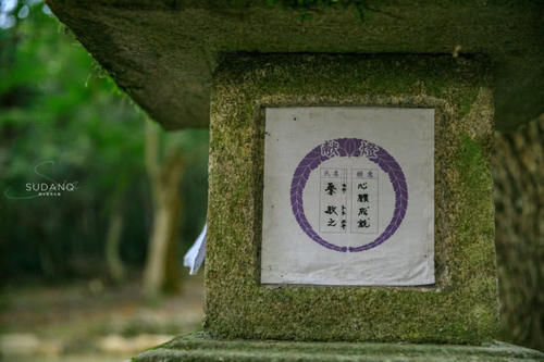 古都奈良,日本人称之东方的罗马,春日大社被