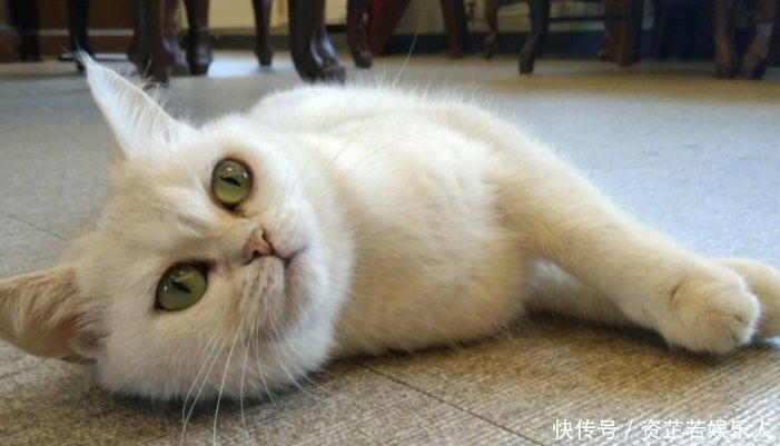 崔永元再爆猛料,一句话暗指这两人的末日来临,网友表示支持到底