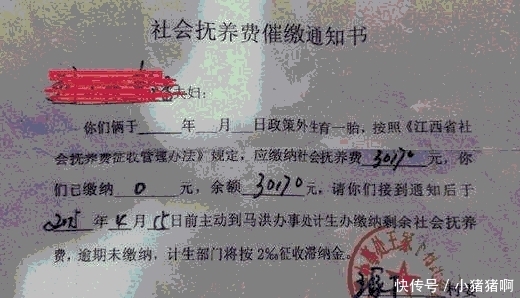 明年起, 三胎惩罚政策将实施? 再生三胎罚2万4? 农民: 多此一举!