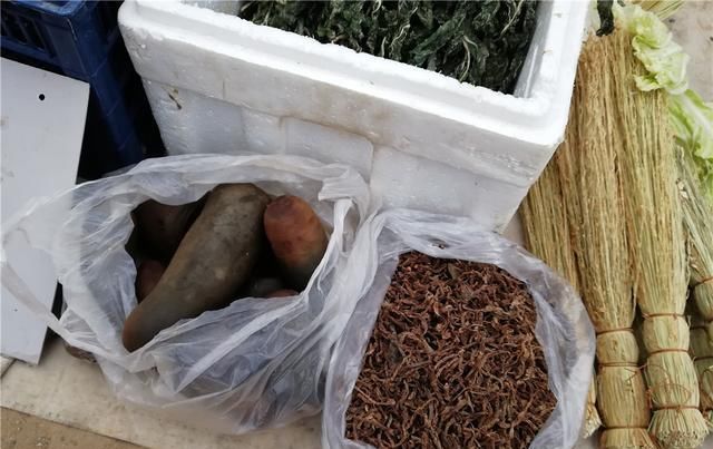  爷爷：农村变成了垃圾菜叶，给农民爷爷发了小金，镇上卖了15元