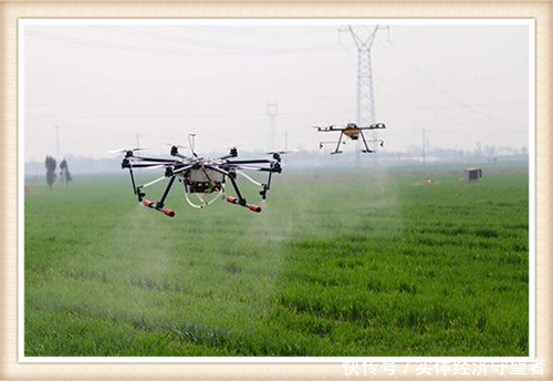  [赚钱]既高大上又赚钱的农村创业项目，这几个真的好，请收藏！