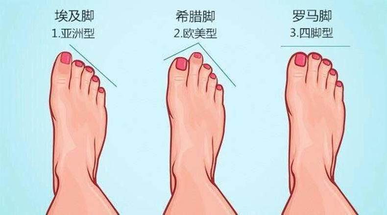 脚的4个特征,少一个都算不上!特别第2个,最吸