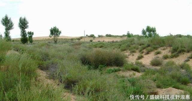 中国有九大沙漠，最大的33万平方公里，第五大沙漠却要消失