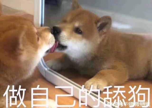 分派@护肤界也分派贵妇派、成分派、天然派你属于哪个