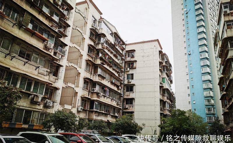  何建华：57岁大叔自家楼顶建“空中菜园”，瓜果蔬菜俱全，年产