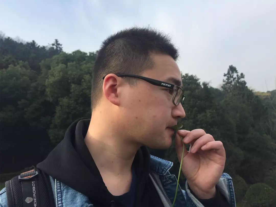 农村一种野草，曾是农村娃的零食，还是治蛇咬伤良药，见到别错过