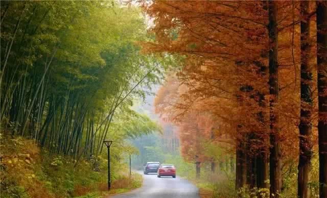 66岁大叔，8年时间打造出了中国最美私家花园，让人叹为观止！