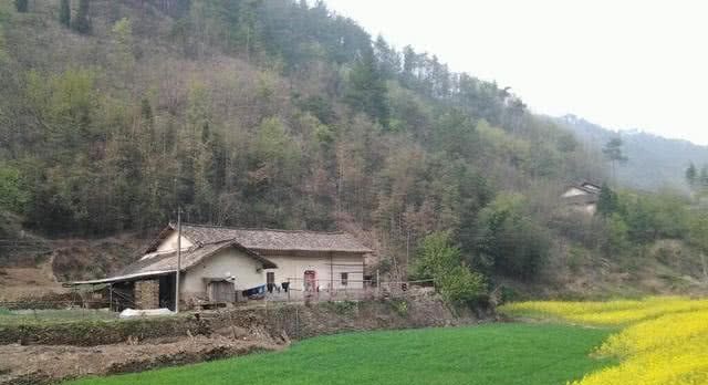 农村大规模合村并居，剩下的集体耕地归谁？答案在这里！