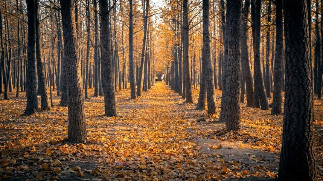 10个藏在深山人不知的古村落，却是世外桃源