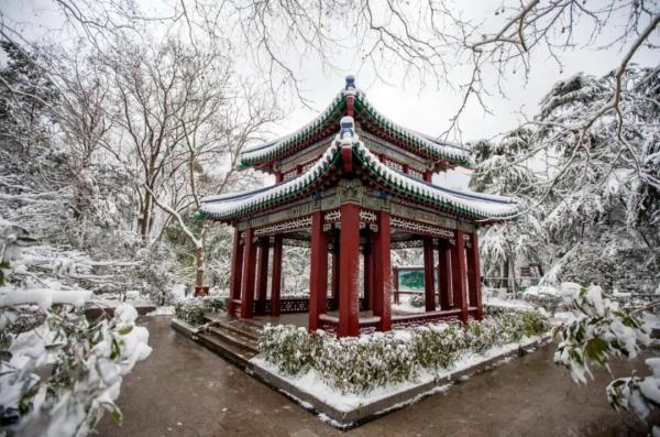 雪后的南京真美！