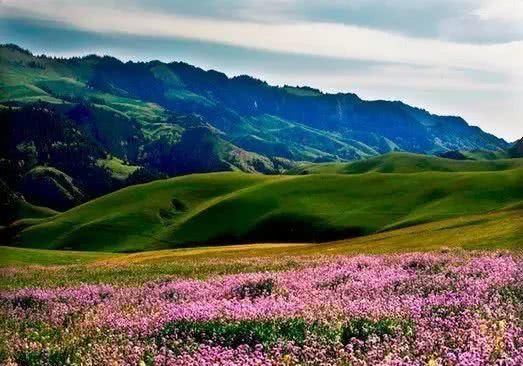 在新疆，有一种旅行，叫公路旅行