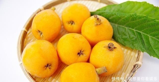  #小伙#邻家小伙偷爬农民枇杷树，万万没想到却掉下来摔死，该赔