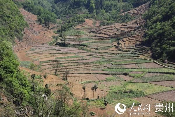 【技术】毕节金海湖新区:下沉干部力量 决战脱贫攻坚