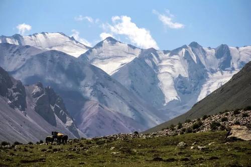 北边百花南青石，祁连苍茫画秋颜--祁连山穿越